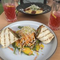 Falafel Wrap mit Salat at The Green Garden in Salzburg