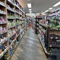   at Village Wholefoods in London