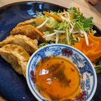 Vegetable Gyoza at Gao Restaurant in Pisek
