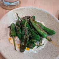  at Paloma in Edinburgh