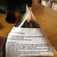 Delicious seaweed triangle! (Plus intrigued cat 😄) at Purple Carrot in Liverpool