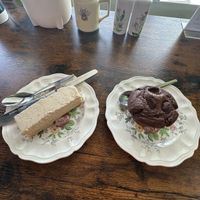   at The Leafy Stop in Wellington