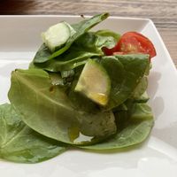   at Dundreggan Rewilding Centre in Inverness