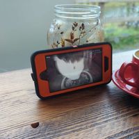   at Dundreggan Rewilding Centre in Inverness