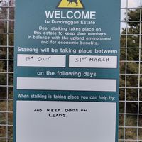  at Dundreggan Rewilding Centre in Inverness