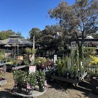   at Rivers of Yarrambat in Yarrambat