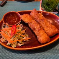 Nem mit Tofu at Ha Dang in Geesthacht