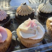   at Likely Ivy in Portland