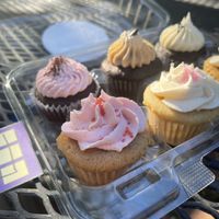   at Likely Ivy in Portland