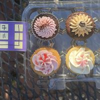   at Likely Ivy in Portland