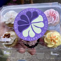   at Likely Ivy in Portland