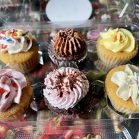   at Likely Ivy in Portland