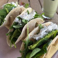 Vegane Avocado Tacos   at Minel's Café in Hannover
