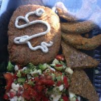 Salmon cake with fries at Go Raw Cafe - Windmill Lane in Las Vegas