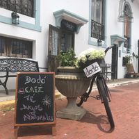 Dodo at Dodo Bon Pan Cafe in Panama City