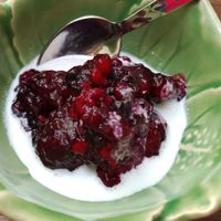 Grobes Beerensorbet auf Kokosmilch / Frozen berries with coconut milk at Hinterhofküche in Linz