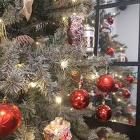  at Sensa Café in Cadiz