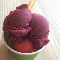 Amazing vegan sorbets!! at Adelheidi's Organic Sweets in Naples