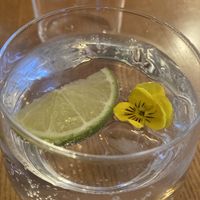 Strontian G&T  at Boathouse Resturant in Fort William