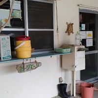  at Ohama Farm in Taketomi