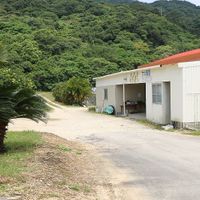  at Ohama Farm in Taketomi