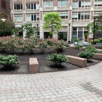 Nearby outdoor park (28th, between 5th and Park Avenues) whet you can sit and eat your meal from Avo.  at Avo - Nomad in New York City