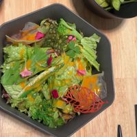 Salad for almost 1000 yen - there was nothing but salad and dressing ! Daylight robbery… at JoGeSaYu in Hiroshima