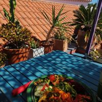 Vegan plate at House of Wonders in Cascais