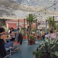 Garden space at House of Wonders in Cascais