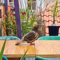  at House of Wonders in Cascais