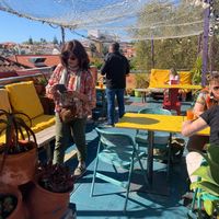 Rooftop at House of Wonders in Cascais