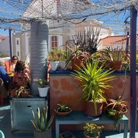 Rooftop at House of Wonders in Cascais