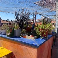 Rooftop at House of Wonders in Cascais