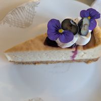  at Vegalicious Pastry in Helsinki