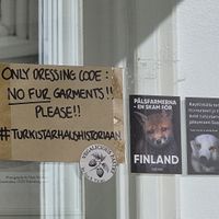  at Vegalicious Pastry in Helsinki