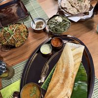   at Madras Jungle in Interlaken
