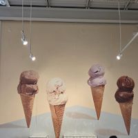 Wall at Jeni's Splendid Ice Creams - E 36th St in Charlotte