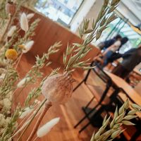 Wheat deco at Land & Monkeys - Grands Boulevards in Paris