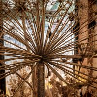 Floral deco at Land & Monkeys - Grands Boulevards in Paris