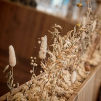Wheat at Land & Monkeys - Grands Boulevards in Paris