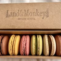   at Land & Monkeys - Grands Boulevards in Paris