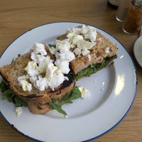  at Zelen in Belgrade