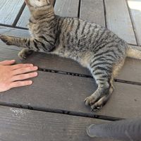 Eliza at Vegetate  in Kapaa