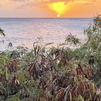   at Vegetate  in Kapaa