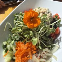   at Vegetate  in Kapaa