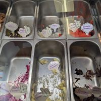 vegan sorbets at Stella's Ice Cream  in Crete