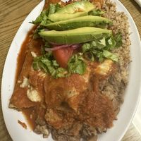 Enchilada dinner plate  at Vegatinos  in North Hollywood