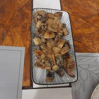 Veganised mushrooms (normally they have a sauce with milk cream) at Apopsi in Galaxidi