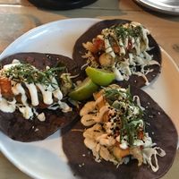 Tacos at Smith & Daughters in Collingwood