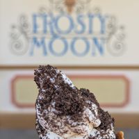 Vegan Vanilla with Oreo crumble at Universal Studios - Frosty Moon in Orlando